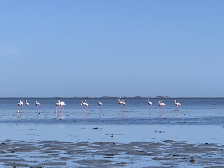 Playa