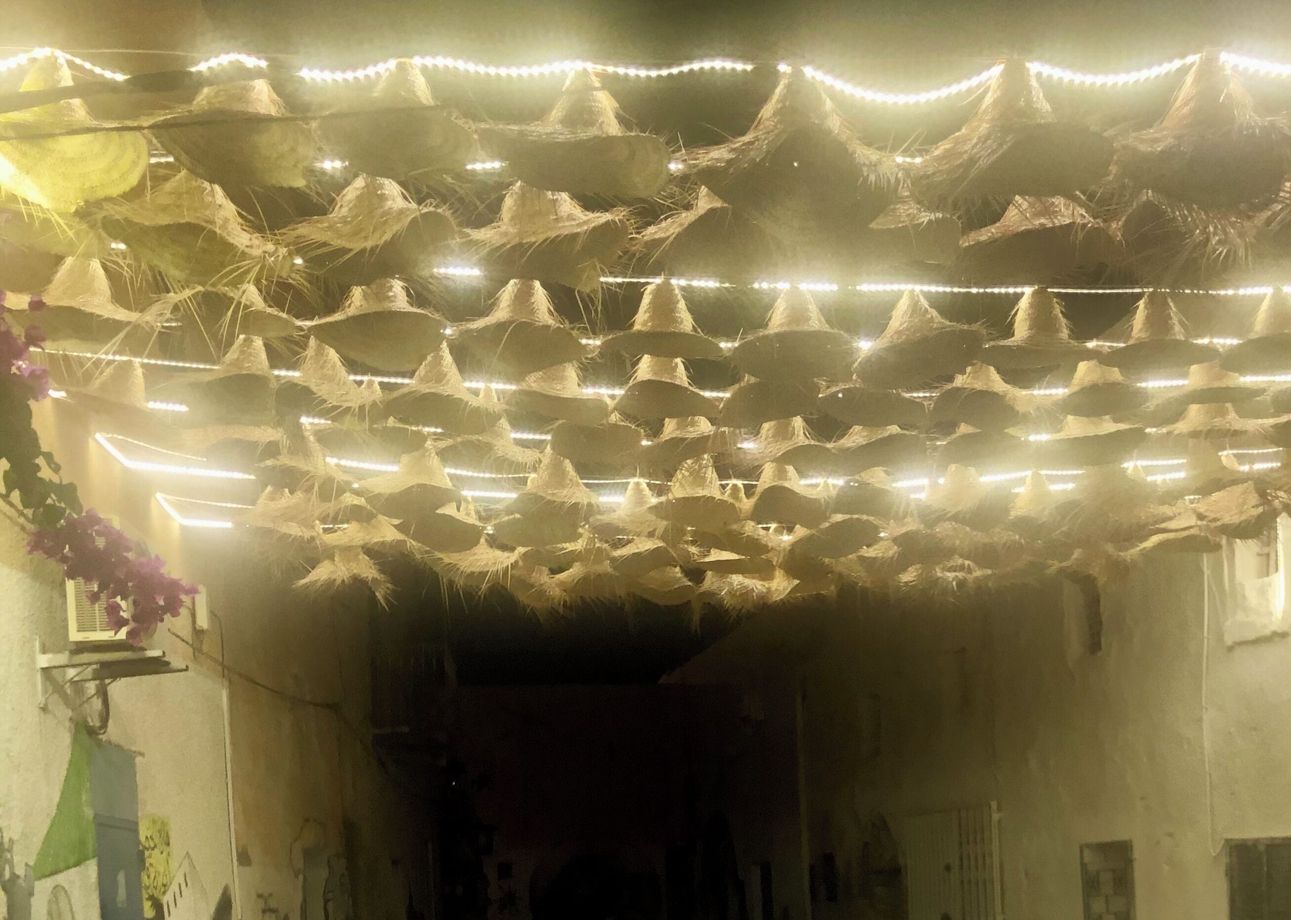 Foto - Dar Lola Djerba