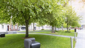 Un parque con césped, un árbol y un banco.