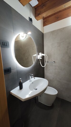 Shower, rainfall showerhead, hair dryer, bidet - Faedis (Faedis)