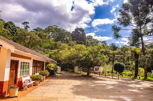 Un patio con un edificio a un lado, rodeado de árboles y follaje.