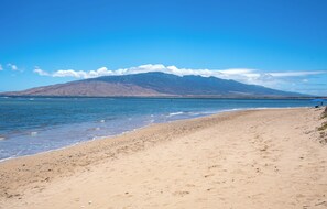 On the beach, white sand, beach umbrellas, beach towels - Sunny and Soothing Oceanfront Vistas (Kihei)