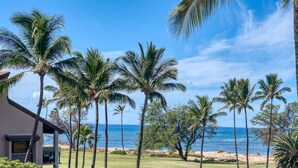 A view of a beachfront property with a lawn, palm trees, and a building with a balcony. - Sunny and Soothing Oceanfront Vistas (Kihei)