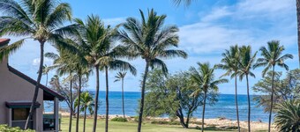 Sunny and Soothing Oceanfront Vistas