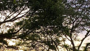Un bâtiment à l’extérieur blanc et au toit rouge, entouré d’une végétation luxuriante et d’arbres.