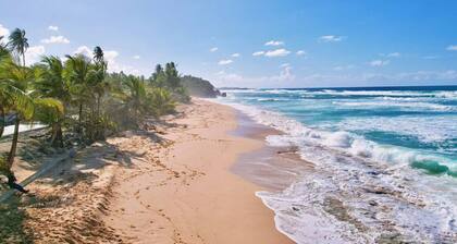 Casa Brazil - Steps to Beach, Private Pool & Pet