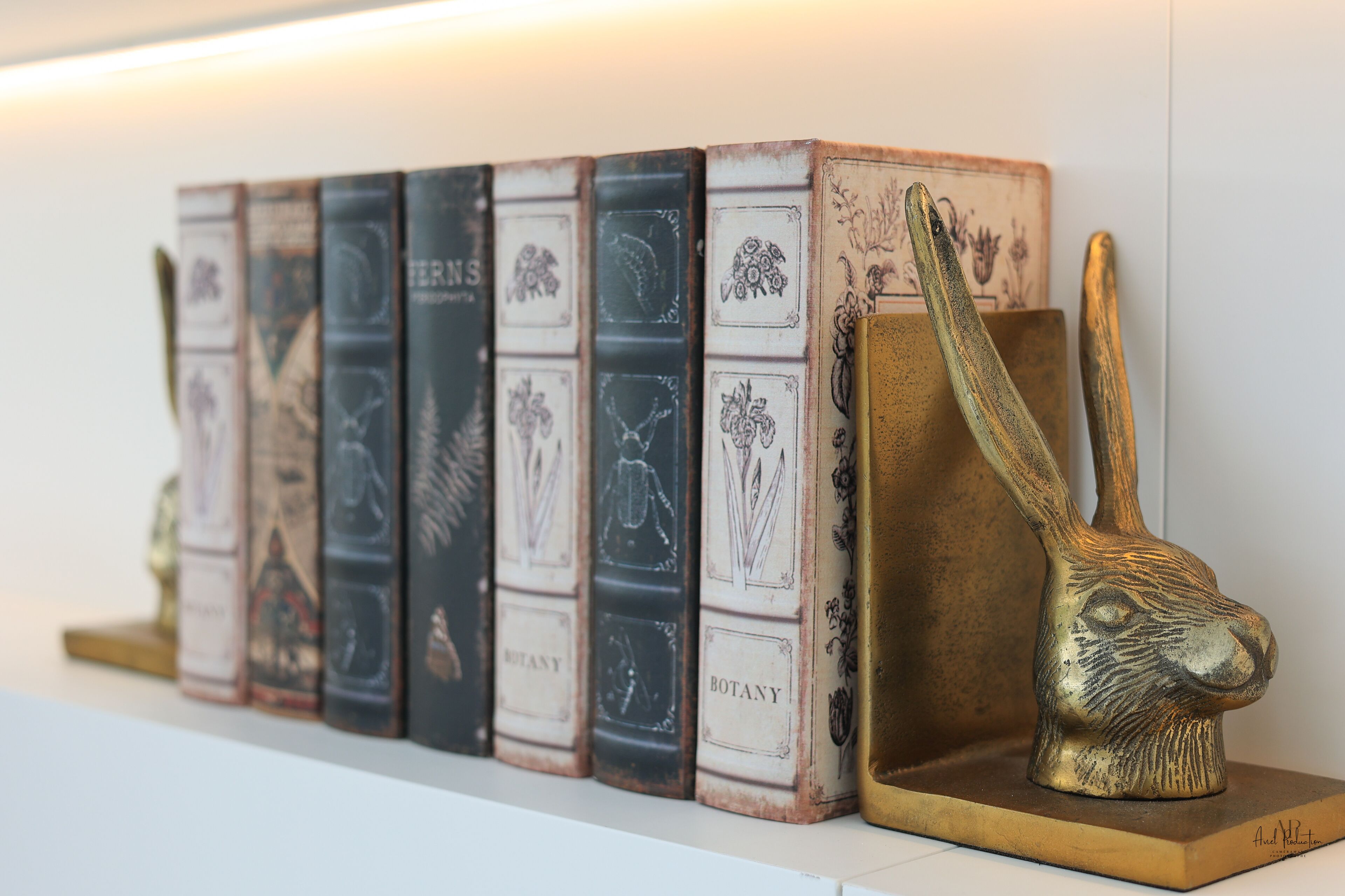 Estante com livros antigos e uma escultura de coelho em latão.