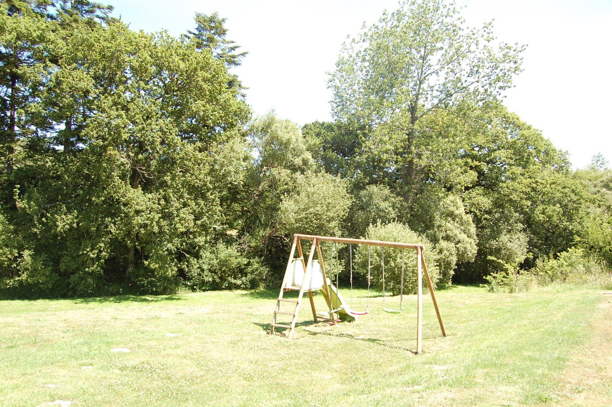 A swing set in a grassy area with dense trees in the background.