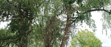 Enceinte de lâhĂ©bergement