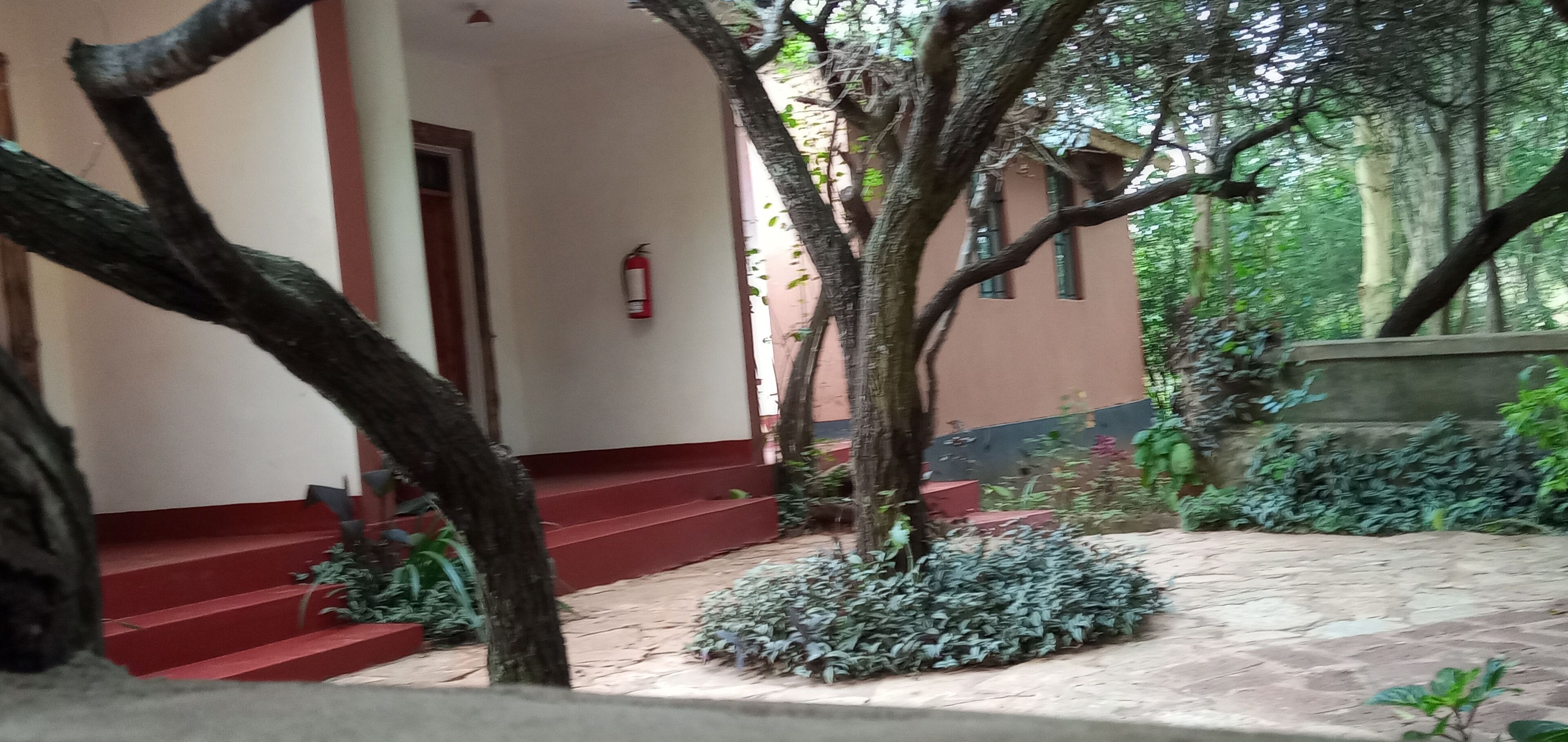 A building with red steps leading to a door, surrounded by trees and plants.