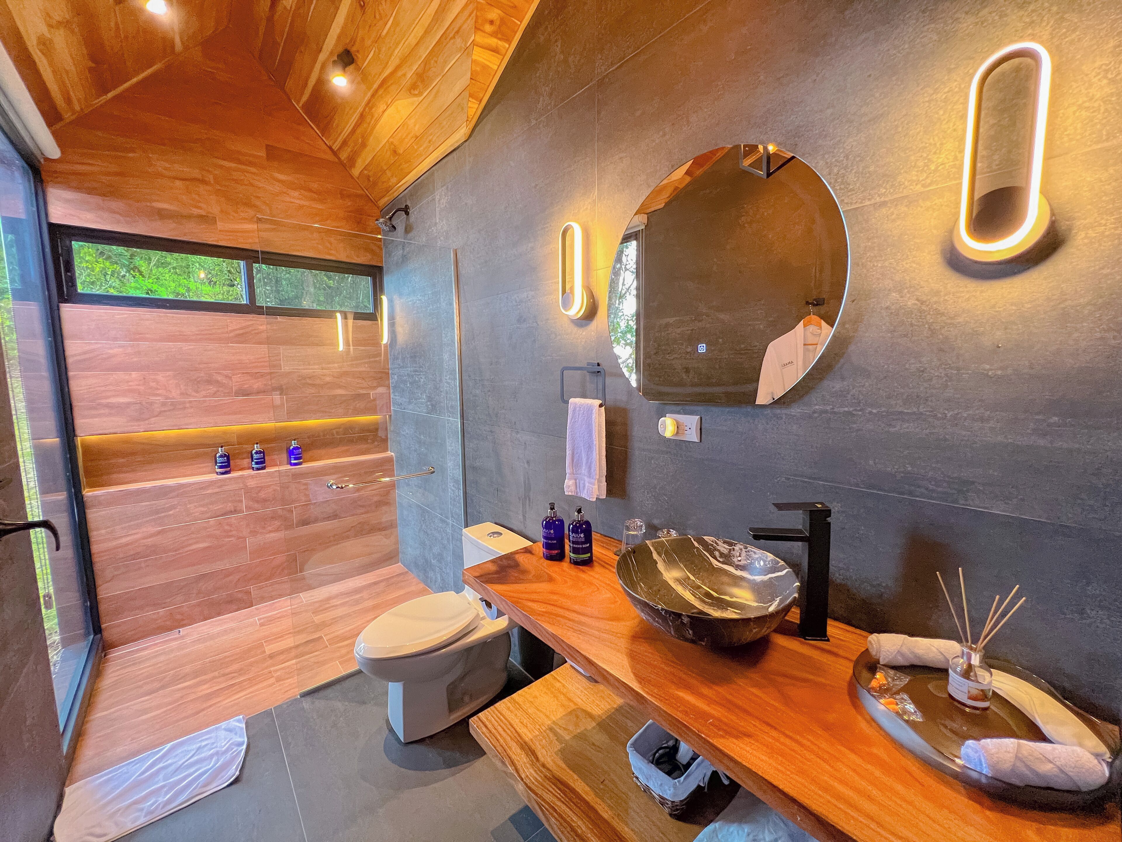 Hair dryer, towels, soap, shampoo