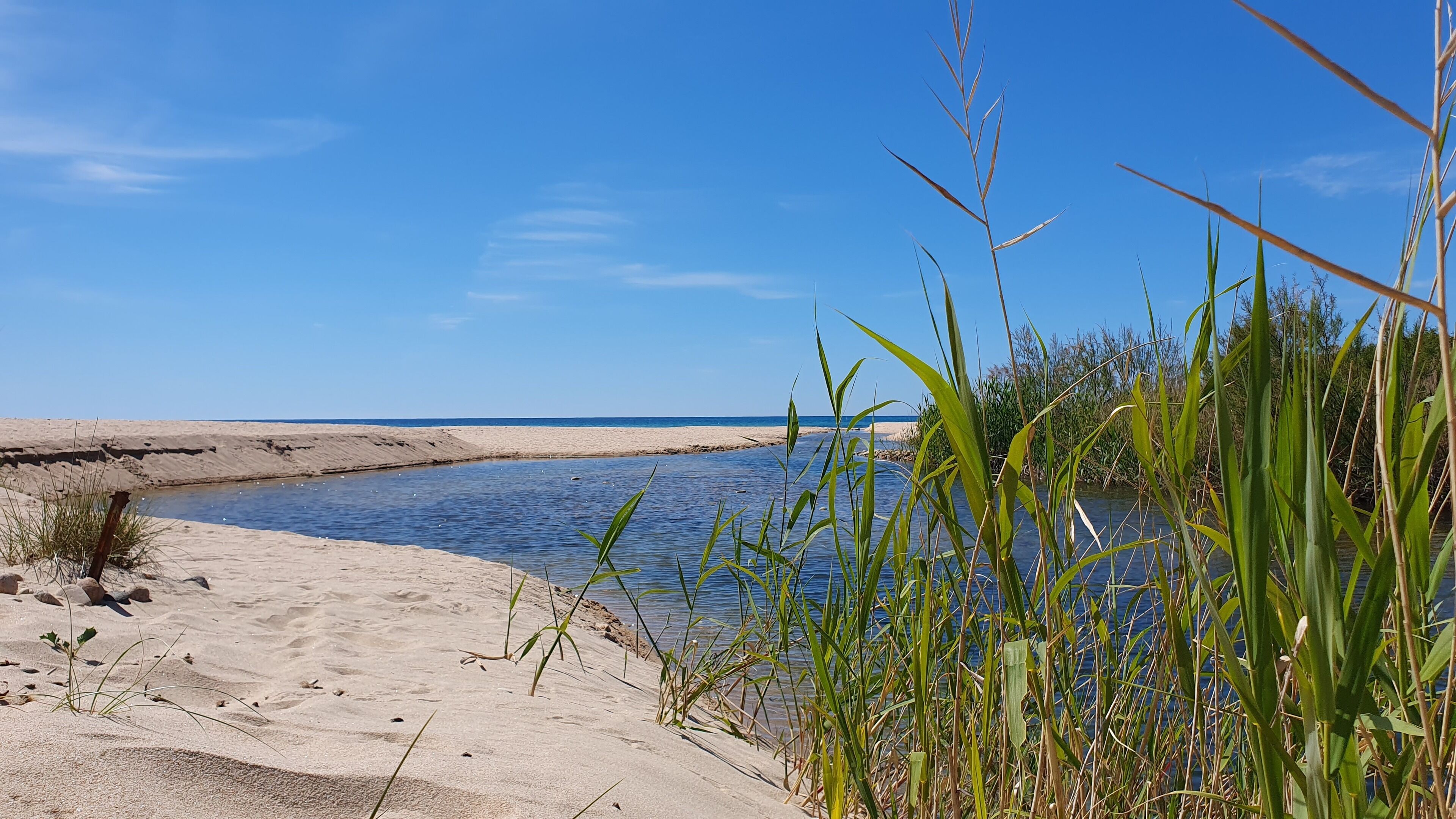 A beach with clear blue water, sandy shore, and green vegetation.