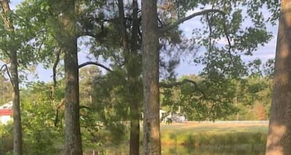 Mini Cabin 5 Near Ocean City & Assateague On catch and release fishing lake