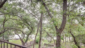 A wooden deck with a metal railing overlooking a wooded area with trees and a grassy field. - Lake Brownwood Home w/ Private Boat Dock! (Brownwood)