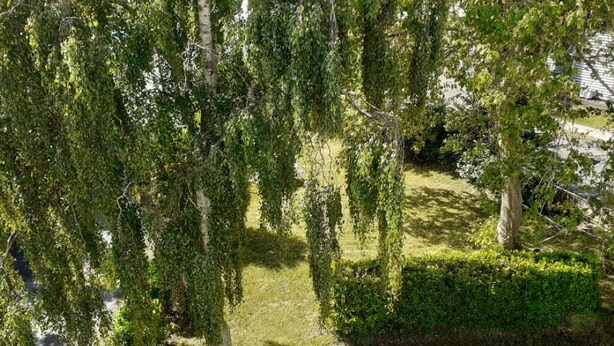 A tree-lined pathway with a hedge on one side and a building in the background. - Appartement de 38 m2 au Sein D'une Petite Résidence Avec Jardin (Pont-l'Abbé)