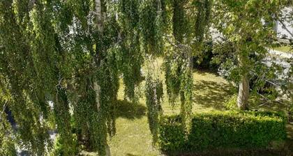 Appartement de 38 m2 au Sein D'une Petite Résidence Avec Jardin