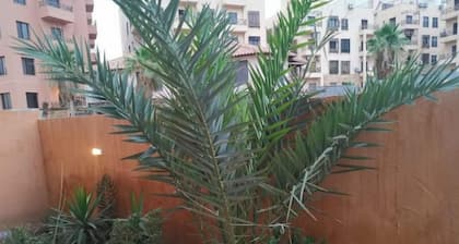 A wonderful stay at the Dead Sea