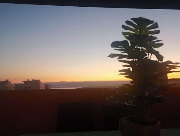 A potted plant on a balcony with a view of a sunset over a cityscape.