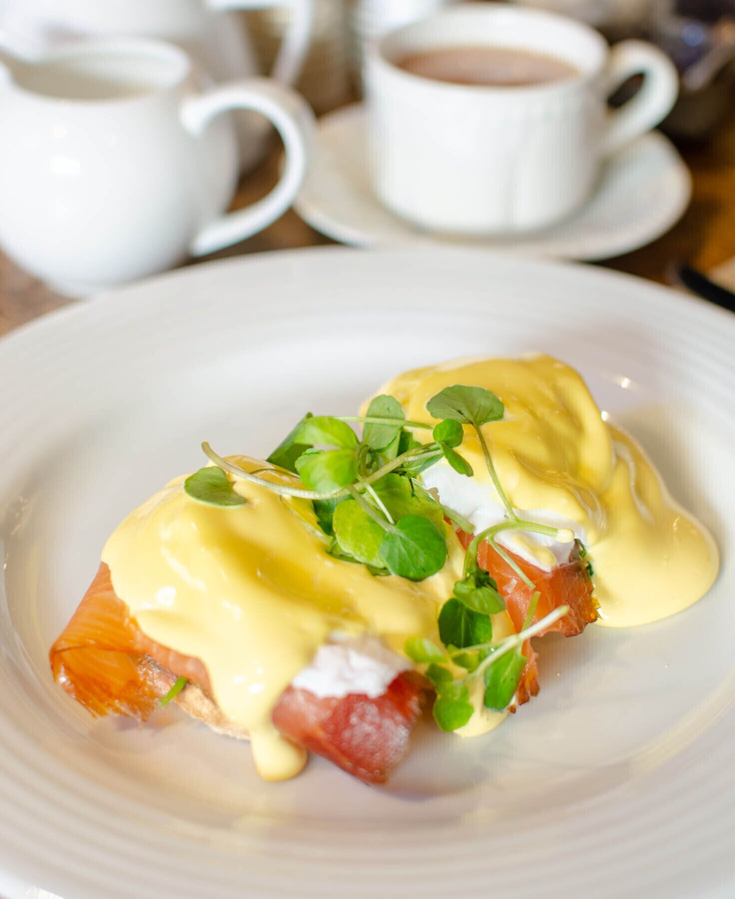 Un plato de huevos Benedict con salmón ahumado y salsa holandesa, adornado con brotes micro.
