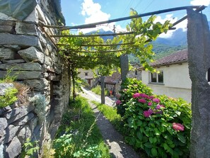 Room, 1 Bedroom, Balcony, Mountain View | Garden