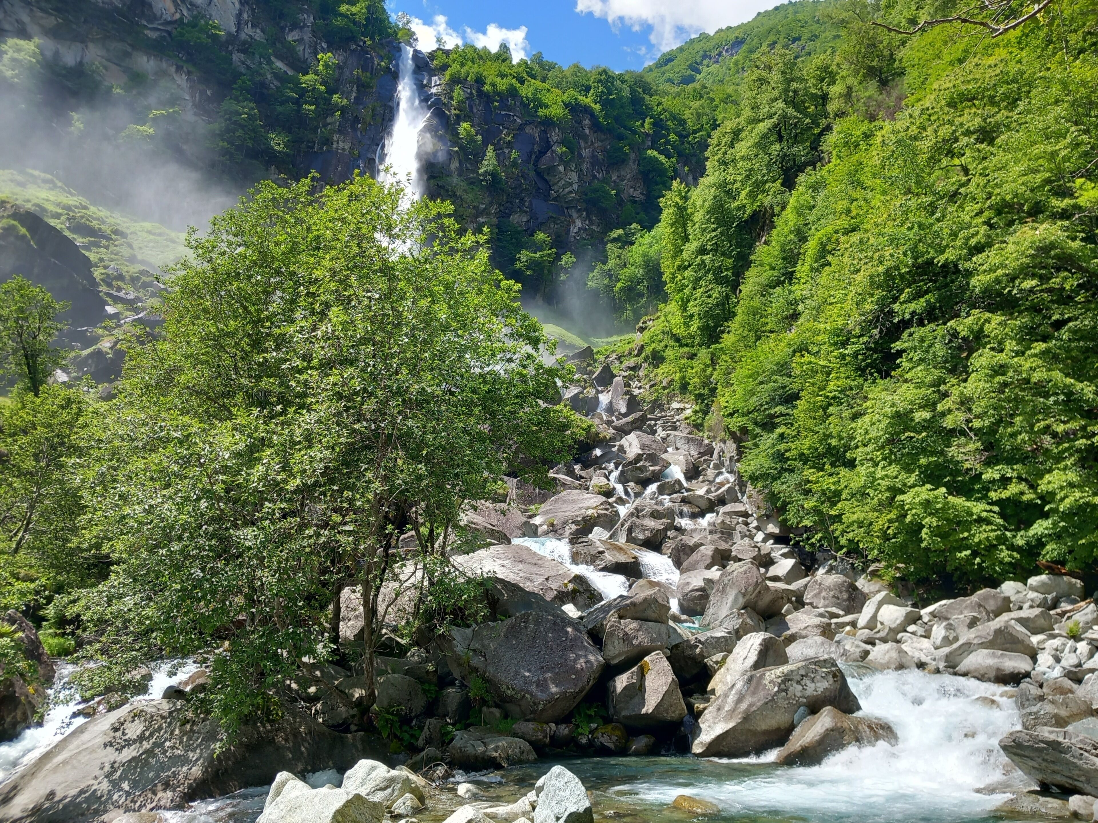 A waterfall surrounded by lush greenery and rocks.