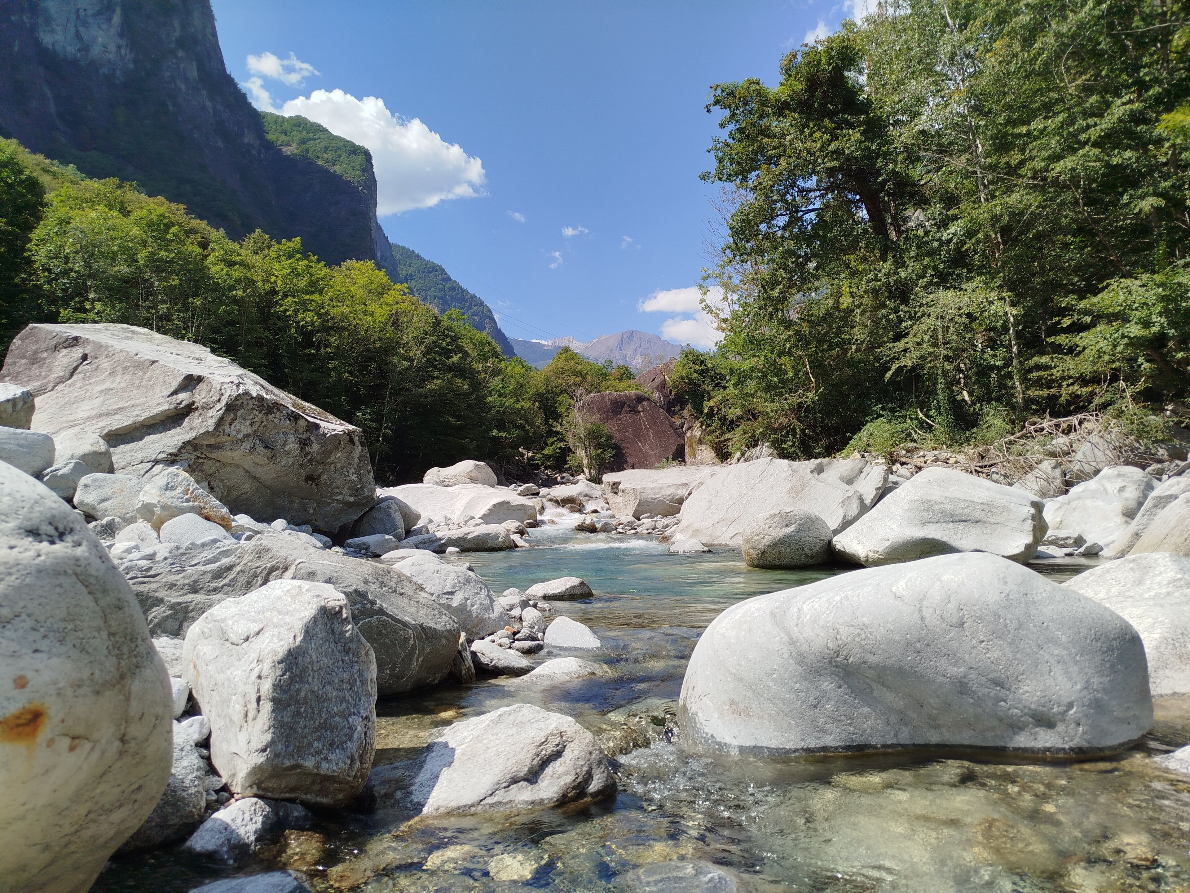 A river with large rocks and clear water, surrounded by dense green trees and a mountain in the background.