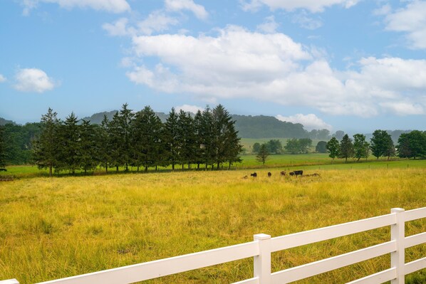 A rural landscape with a white fence, green field, and trees in the background. - Amazing views, hot tub/outdoor fireplace, countryside, farm with calves & goats. (Navarre)