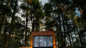 A modern wooden cabin with a glass door, surrounded by a stone pathway and lush greenery. - TinyChillHouse (Mineral del Monte)