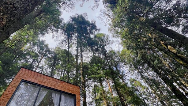 A modern building with a large window and a view of tall trees. - TinyChillHouse (Mineral del Monte)