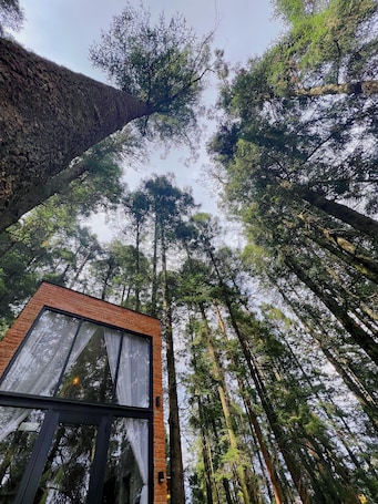 Front of property. TinyChillHouse