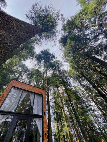 TinyChillHouse