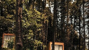 A forested area with a pathway leading to a building with a sign reading 'CABANA'. - TinyChillHouse (Mineral del Monte)