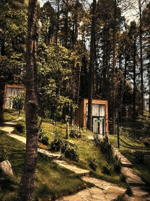 Exterior - TinyChillHouse (Mineral del Monte)
