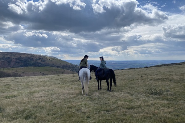 View from Crowcombe common