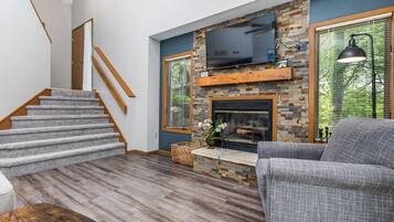 Televisión, chimenea, reproductor de DVD y libros