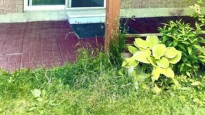 Unclassified image, 4 of 22, button - Cozy Basement Apt two bedrooms sleep 4
You can enjoy TEA & COFFEE with no charge (Barrie)