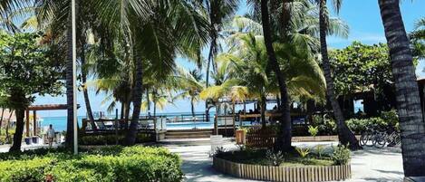 Terrein van de accommodatie