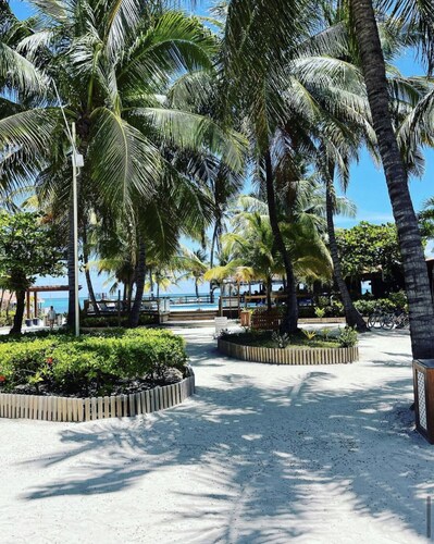 Gorgeous 1 Bedroom Oceanfront at Sapphire Beach Resort in Ambergris Caye, Belize
