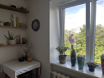 Apartment close center