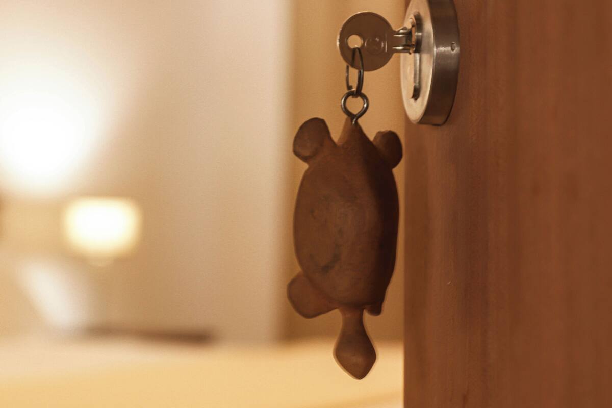 A keychain with a turtle-shaped keychain holder attached to a door handle.
