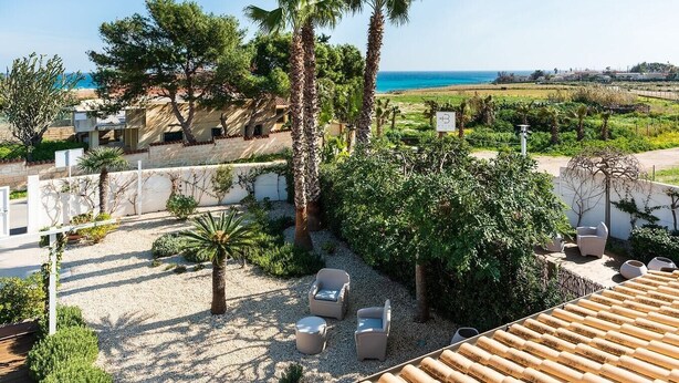 A rooftop terrace with outdoor seating, palm trees, and a view of the sea. - Corrado Residence-Verde Blu - Apartment near beach (Reitani)