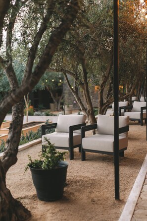 A serene outdoor seating area with cushioned chairs and a potted plant. - Casa Olivea (Valle de Guadalupe)