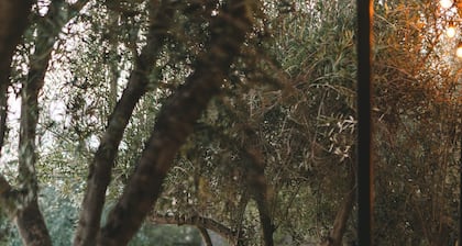 Casa Olivea