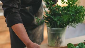 Iemand verzorgt een tuin met verschillende groene planten.