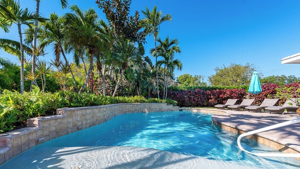 A swimming pool with a stone edge, surrounded by lush tropical plants and palm trees. - Enchanting Wilton Manors Haven: Outdoor Oasis (Wilton Manors)