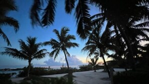 A pathway surrounded by palm trees leading to a beach. - Ocean Pearl On The Beach Villa , ManOWar Cay, Abaco, Bahamas (Man-O-War Cay)