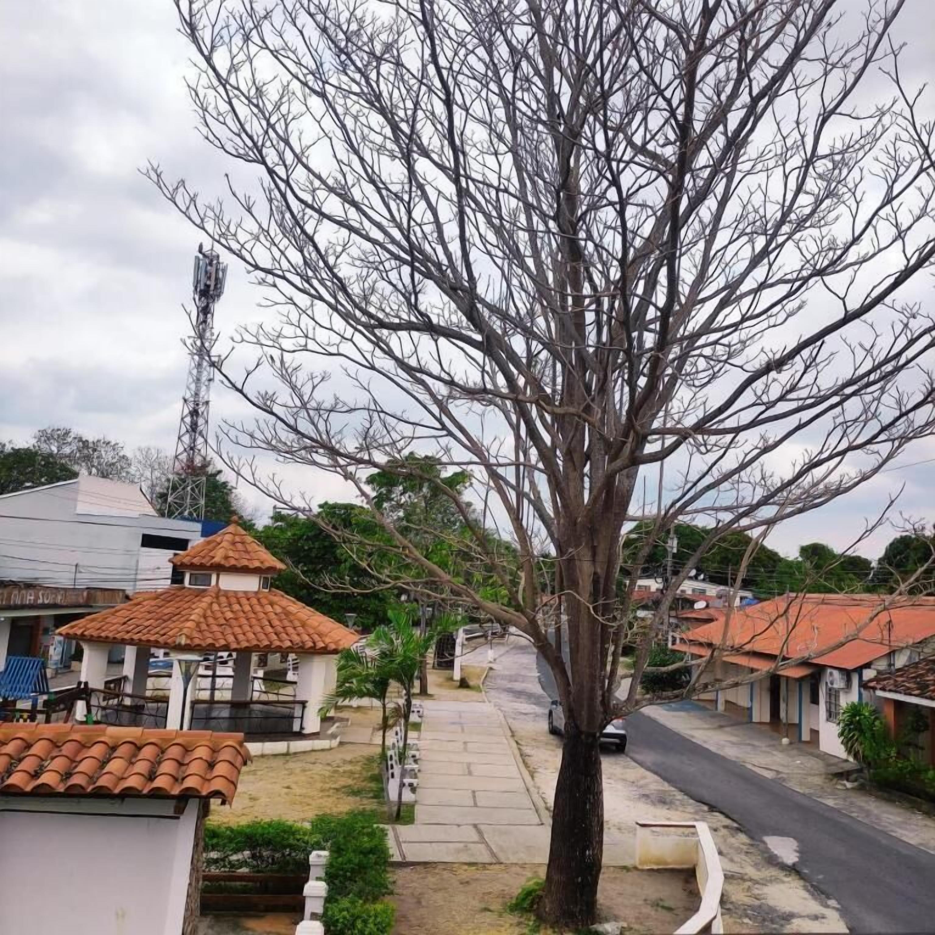 Photo - Hotel San Carlos Beach .