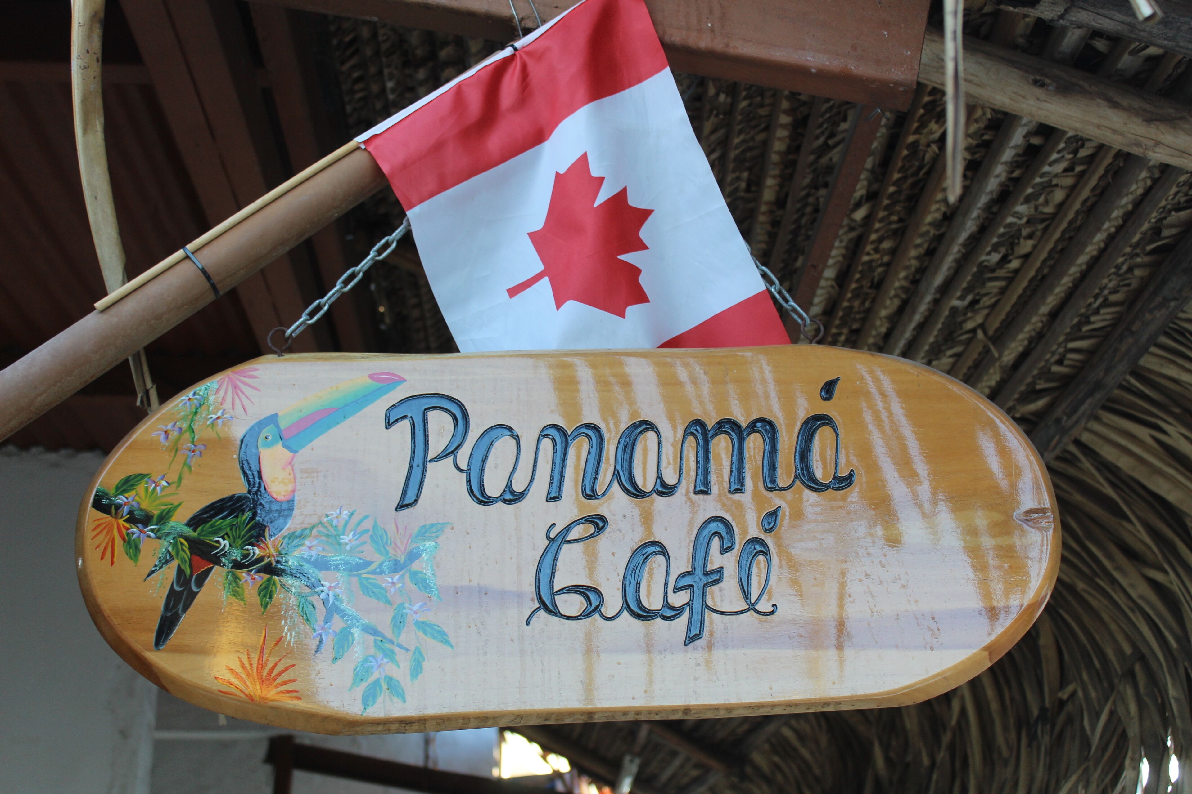 Photo - Hotel San Carlos Beach .