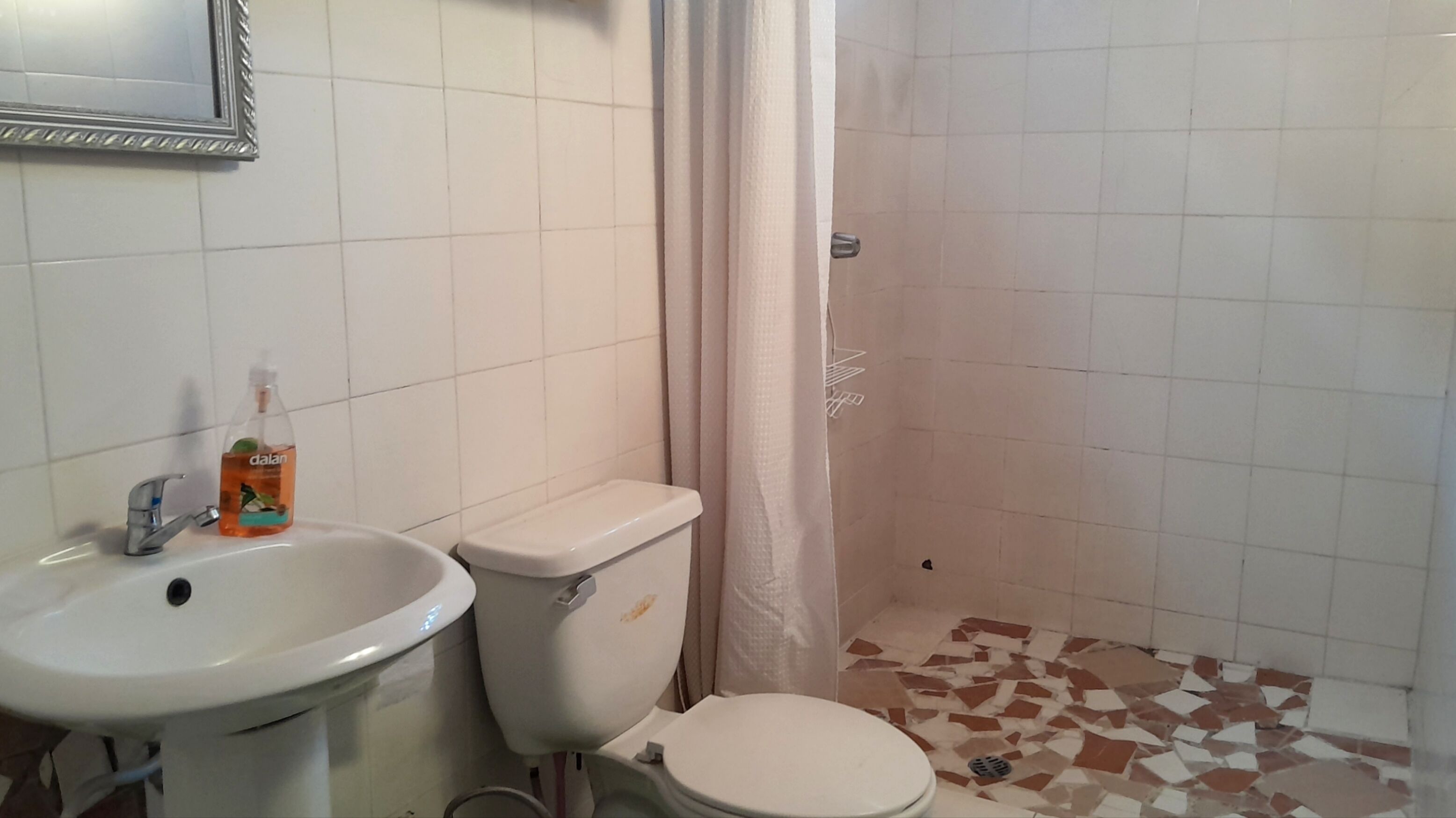 Un baño con lavamanos, inodoro y ducha.