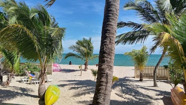 Una playa con palmeras, una zona arenosa y vista al océano.